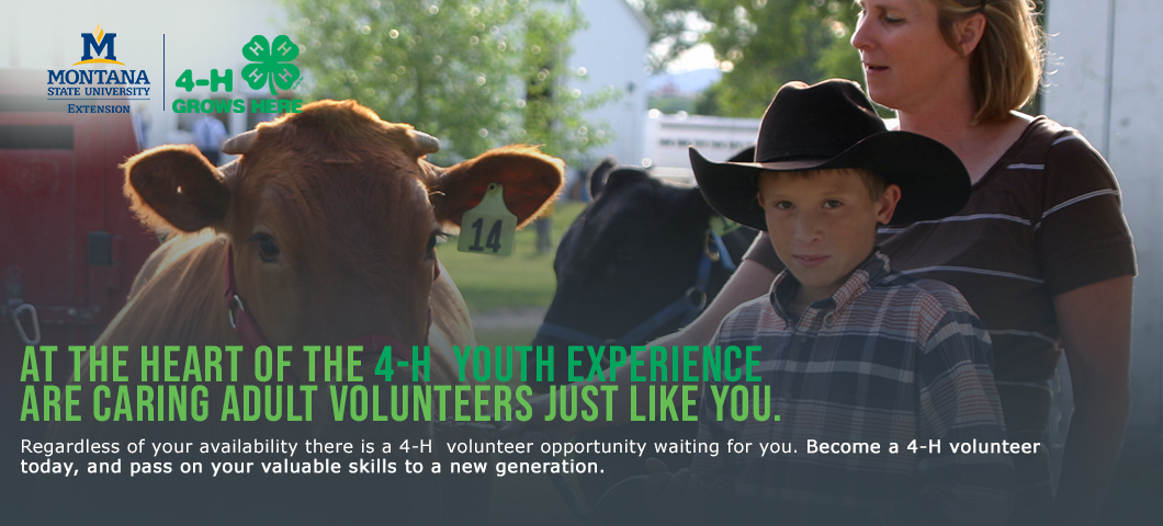 Volunteer recruitment banner. Image of a female with a young boy and a steer.