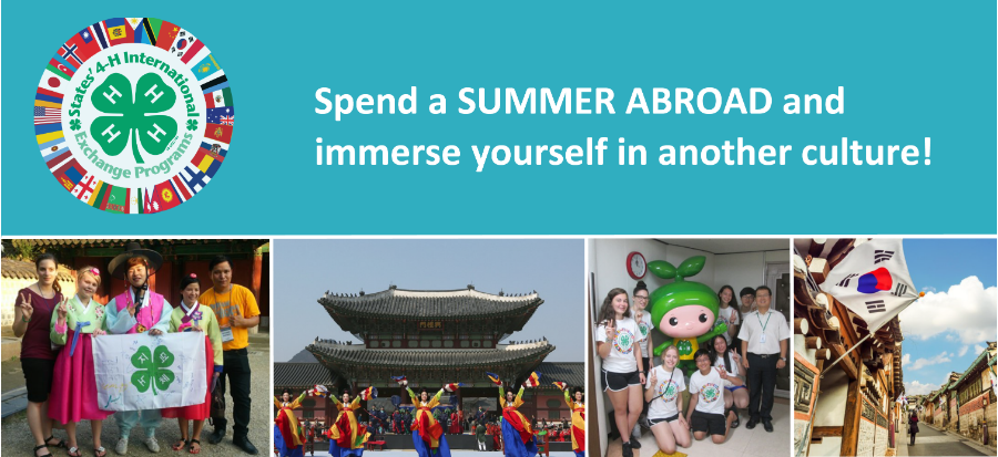 blue banner that reads spend a summer abroad and immerse yourself in culture with states 4-H international logo on the left and 3 photos of south Korea below. 