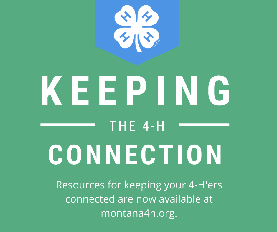 keeping the 4-H Connection 