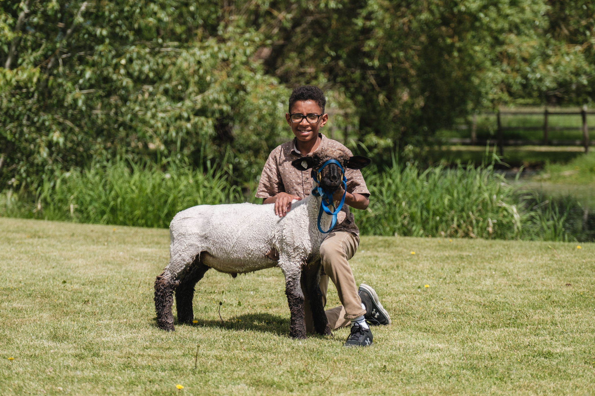 A middle-aged boy kneels with his sheep